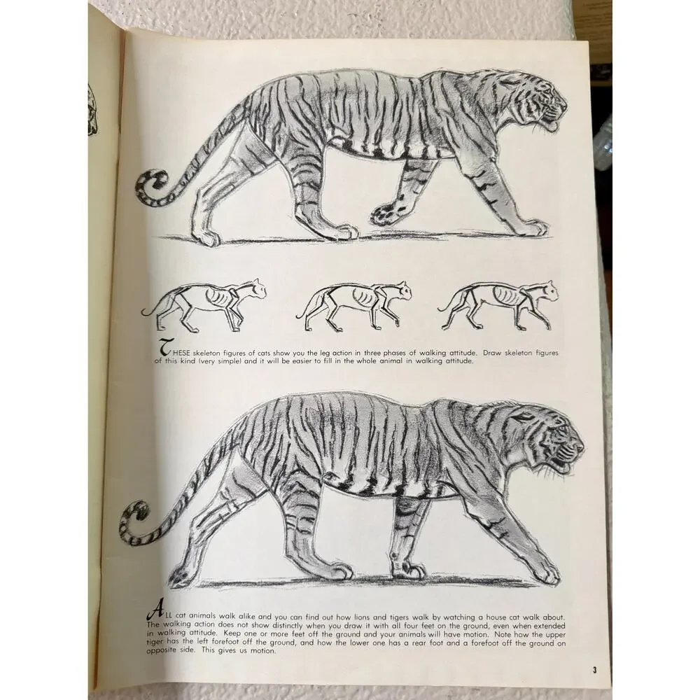 The Cats In Action by Walter J. Wilwerding Walter T. Foster Art Books #70